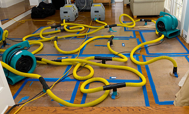 Professional Flood Damage Restoration technician working in Ingleside, IL